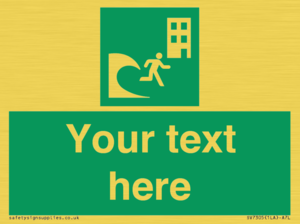 Custom Safe Condition Tsunami evacuation building